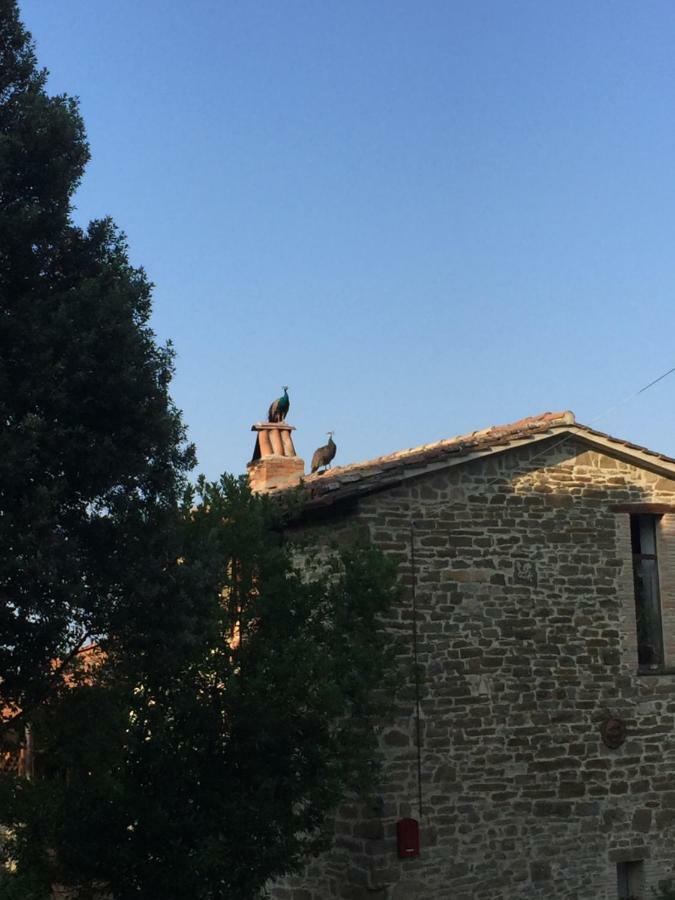 Ferienhaus Fattoria Didattica Gli Allori